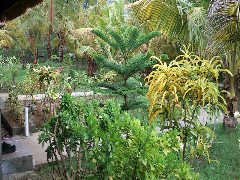 梦幻小屋旅馆 吉利美诺 外观 照片